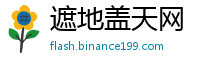 遮地盖天网